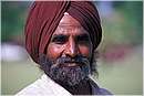 india_chandigarh0087.jpg