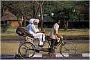 india_chandigarh0096.jpg