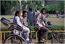 india_chandigarh0097.jpg