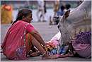 india_haridwar0016.jpg