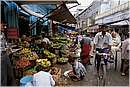 india_haridwar0025.jpg
