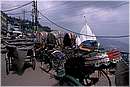 india_mussoorie0012.jpg