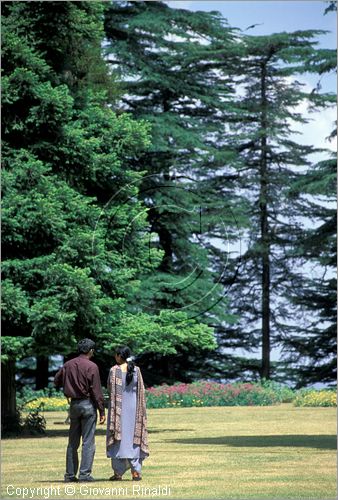 INDIA (HIMACHAL PRADESH) - Chail - Chail Palace Hotel (era una residenza del maharaja)