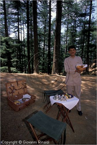 INDIA (HIMACHAL PRADESH) - Naldhera - picnic nel bosco