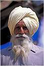 india_nalagarh0001.jpg
