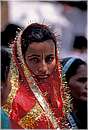 india_nalagarh0002.jpg