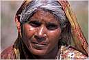 india_nalagarh0004.jpg