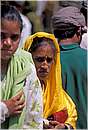india_nalagarh0007.jpg
