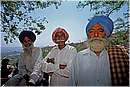 india_nalagarh0009.jpg