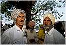 india_nalagarh0010.jpg