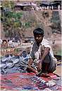 india_nalagarh0017.jpg