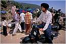 india_nalagarh0020.jpg