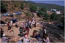 india_nalagarh0021.jpg