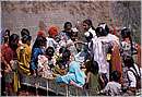 india_nalagarh0023.jpg