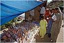 india_nalagarh0024.jpg