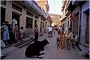 india_nalagarh0034.jpg
