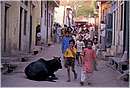india_nalagarh0035.jpg