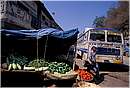 india_nalagarh0048.jpg