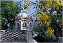 india_nalagarh0060.jpg