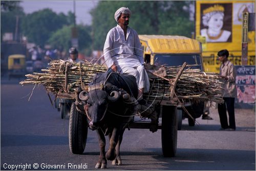 INDIA (UTTAR PRADESH) - Rishikesh