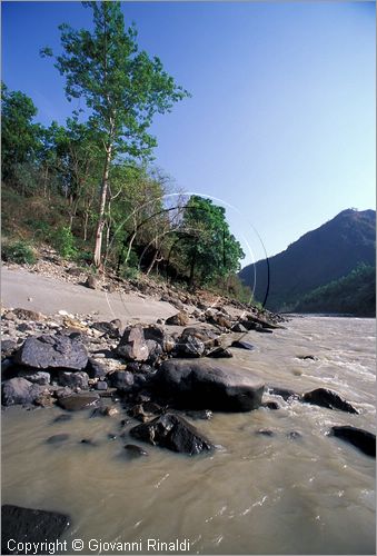 INDIA (UTTAR PRADESH) - Rishikesh - il Gange presso l'hotel "The Glasshouse on the Gange" sulla strada per Badrinath