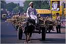 india_rishikesh0019.jpg