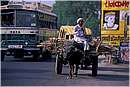 india_rishikesh0020.jpg