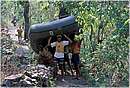 india_rishikesh0025.jpg