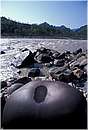 india_rishikesh0027.jpg