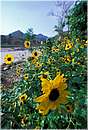 india_rishikesh0037.jpg