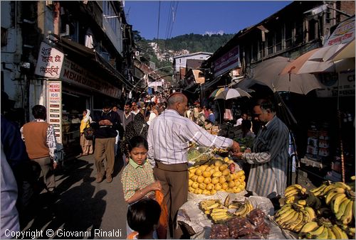 INDIA (HIMACHAL PRADESH) - SHIMLA - Lower Bazar