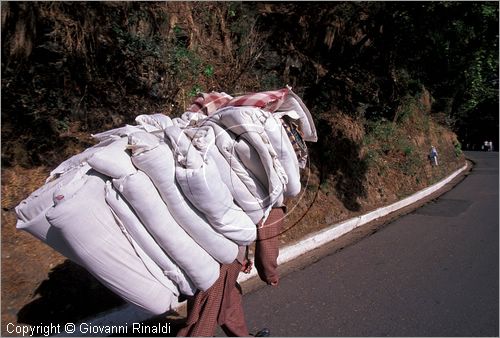 INDIA (HIMACHAL PRADESH) - SHIMLA - portatore