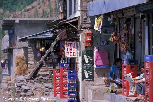 INDIA (HIMACHAL PRADESH) - SHIMLA - sulla strada per Chail presso Kufri