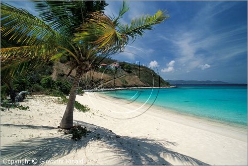 CARAIBI - ISOLE VERGINI BRITANNICHE - ISOLA DI JOST VAN DYKE - White Bay