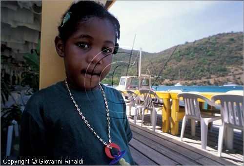 CARAIBI - ISOLE VERGINI BRITANNICHE - ISOLA DI JOST VAN DYKE - Little Harbour: Sidney's