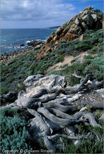 AUSTRALIA OCCIDENTALE - Cape Naturaliste - la costa presso Sugarloaf Rock