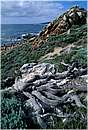 margaretriver0005.jpg