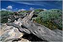 margaretriver0006.jpg