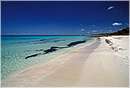 margaretriver0009.jpg
