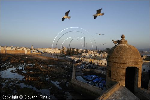 MAROCCO - MAROC - MOROCCO - ESSAOUIRA - veduta della citt dalla torre del porto