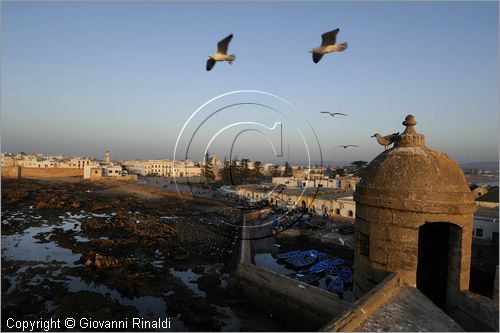 MAROCCO - MAROC - MOROCCO - ESSAOUIRA - veduta della citt dalla torre del porto