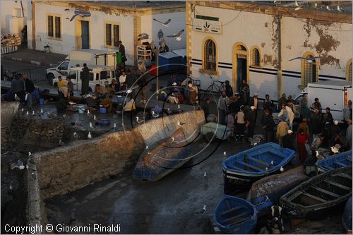 MAROCCO - MAROC - MOROCCO - ESSAOUIRA - la zona del porto a fianco al mercato del pesce dove gli uomini puliscono il pesce