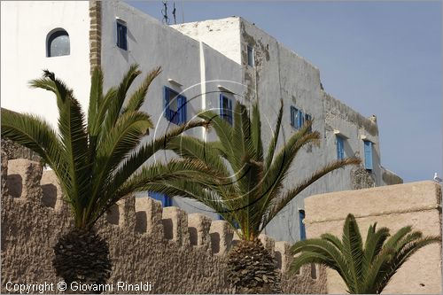 MAROCCO - MAROC - MOROCCO - ESSAOUIRA - le mura e le case su avenue Oqba Ibn Nafiaa