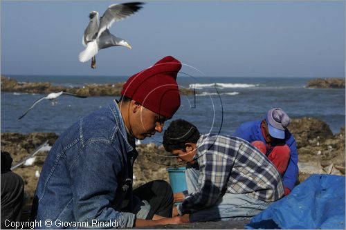 MAROCCO - MAROC - MOROCCO - ESSAOUIRA - i pescatori che puliscono il pesce sulla scogliera presso il mercato del pesce