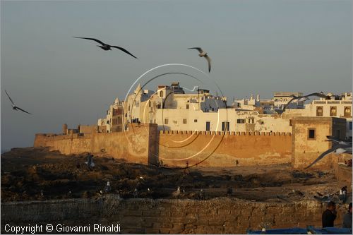 MAROCCO - MAROC - MOROCCO - ESSAOUIRA - veduta della citt al tramonto