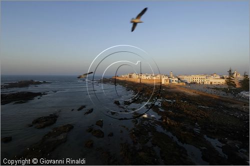 MAROCCO - MAROC - MOROCCO - ESSAOUIRA - veduta della citt dai bastioni del porto al tramonto