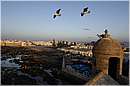 marocco_essaouira_0009.jpg