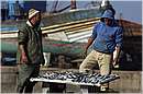 marocco_essaouira_9270.jpg