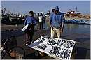 marocco_essaouira_9301.jpg