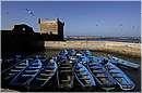 marocco_essaouira_9327.jpg